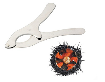 Ножницы для морского ежа 23 см. Tellier /1/4/ Ножницы для морского ежа 23 см. Tellier /1/4/