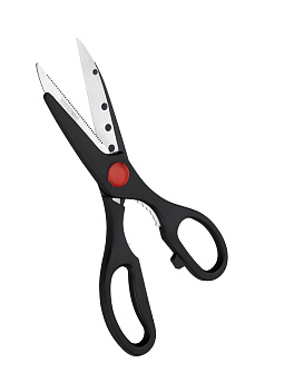 00000077013 07-04-2025 10-59